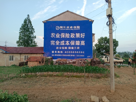 泉州墙体广告为何受追捧？